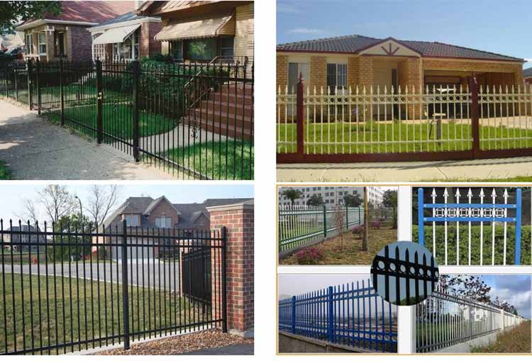 1731287503949590.jpg 6.22.jpg