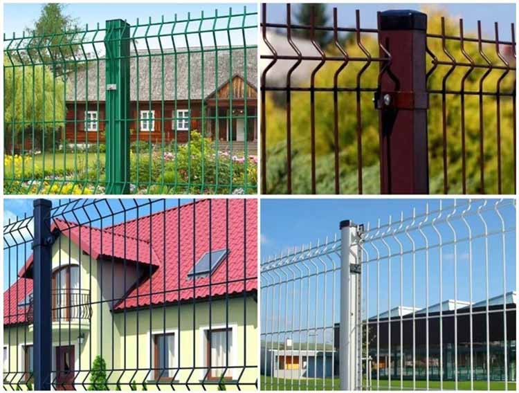 1733554166402738.jpg 6.2.jpg