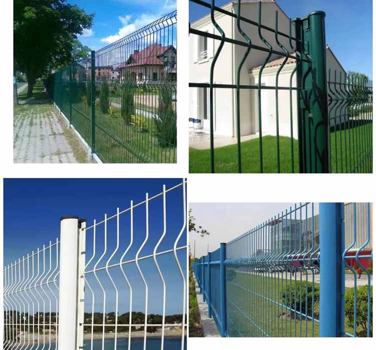 1734395146120676.jpg 6.22.jpg