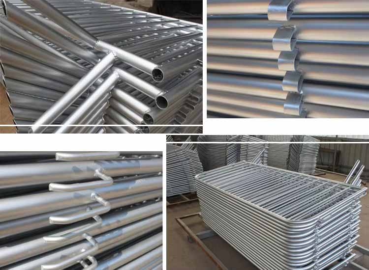 1735258209775636.jpg 4.2.jpg