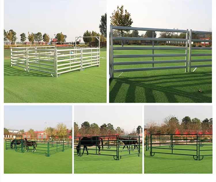 1735435688210370.jpg 4.22.jpg