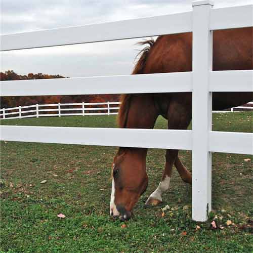 Climate Adaptability of Split Rail Fences: Performance in Various Weather Conditions